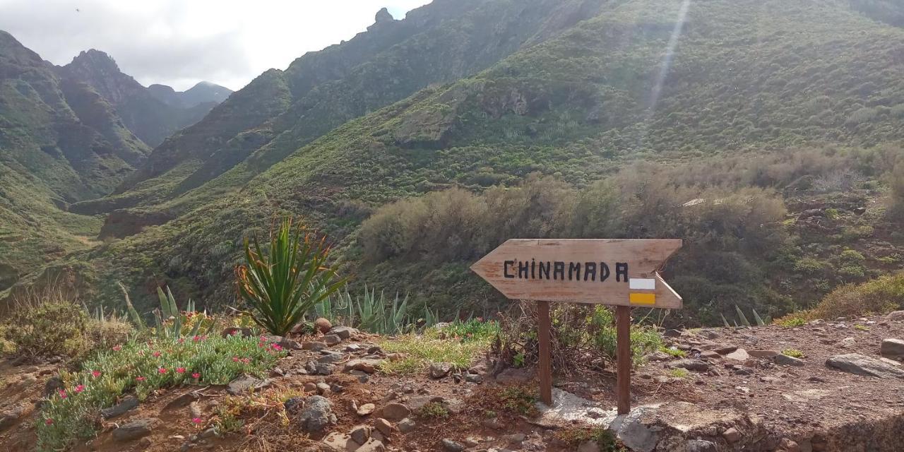 Estudio - Descanso Y Bienestar En La Punta Punta Del Hidalgo Kültér fotó